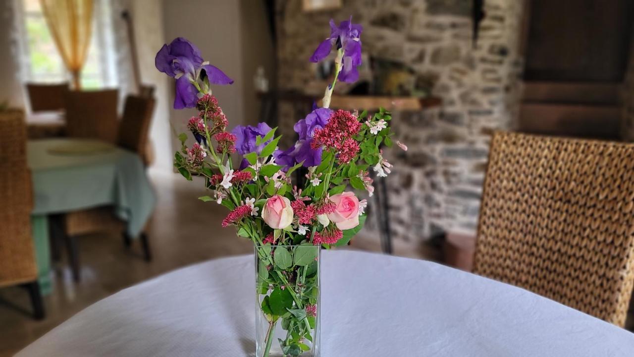 Manoir Des Pelies Spa Conques Eksteriør billede