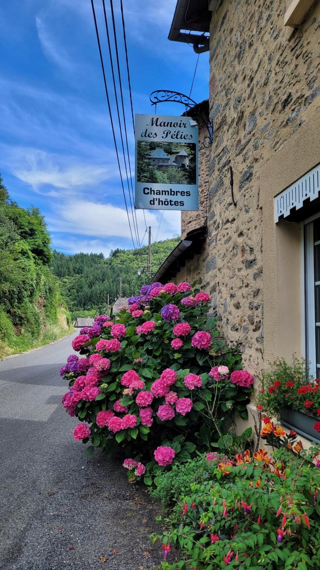 Manoir Des Pelies Spa Conques Eksteriør billede