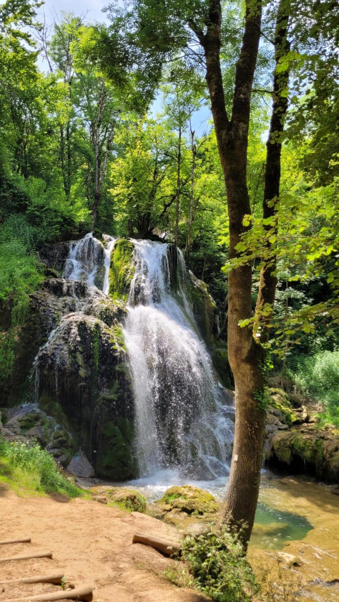 Manoir Des Pelies Spa Conques Eksteriør billede